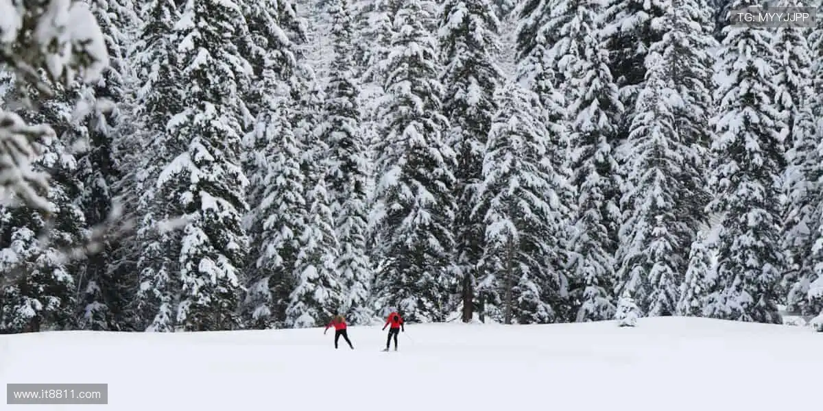 🎧戴上它，沉浸式感受赛场的每一次呼吸！